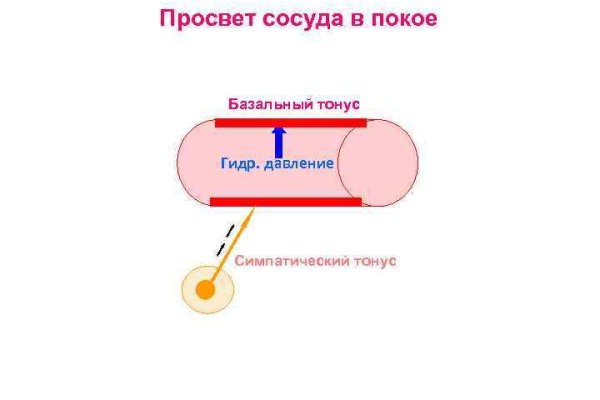 Как создать фишинг сайт black sprut